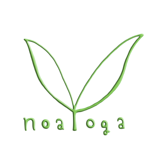 noa_logo_leaf_500px_light